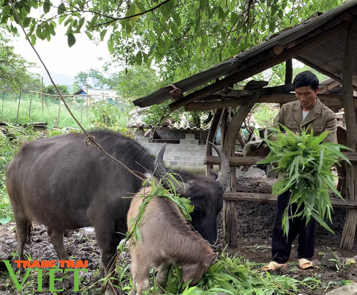 Pan Khèo nói không với ma túy - Ảnh 4.