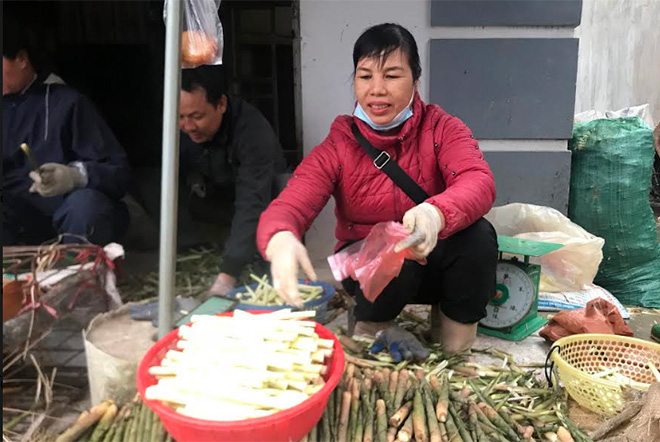 Yên Bái: Rau rừng đặc sản hóa ra là thứ mầm này, luộc, om, xào, nướng cả làng ăn ai cũng khen tấm tắc - Ảnh 1.