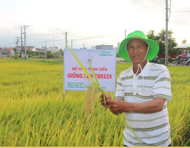 Khánh Hòa: Giống lúa TBR225 gạo ngon, cơm mềm năng suất ra sao khiến nông dân mê mẩn - Ảnh 5.