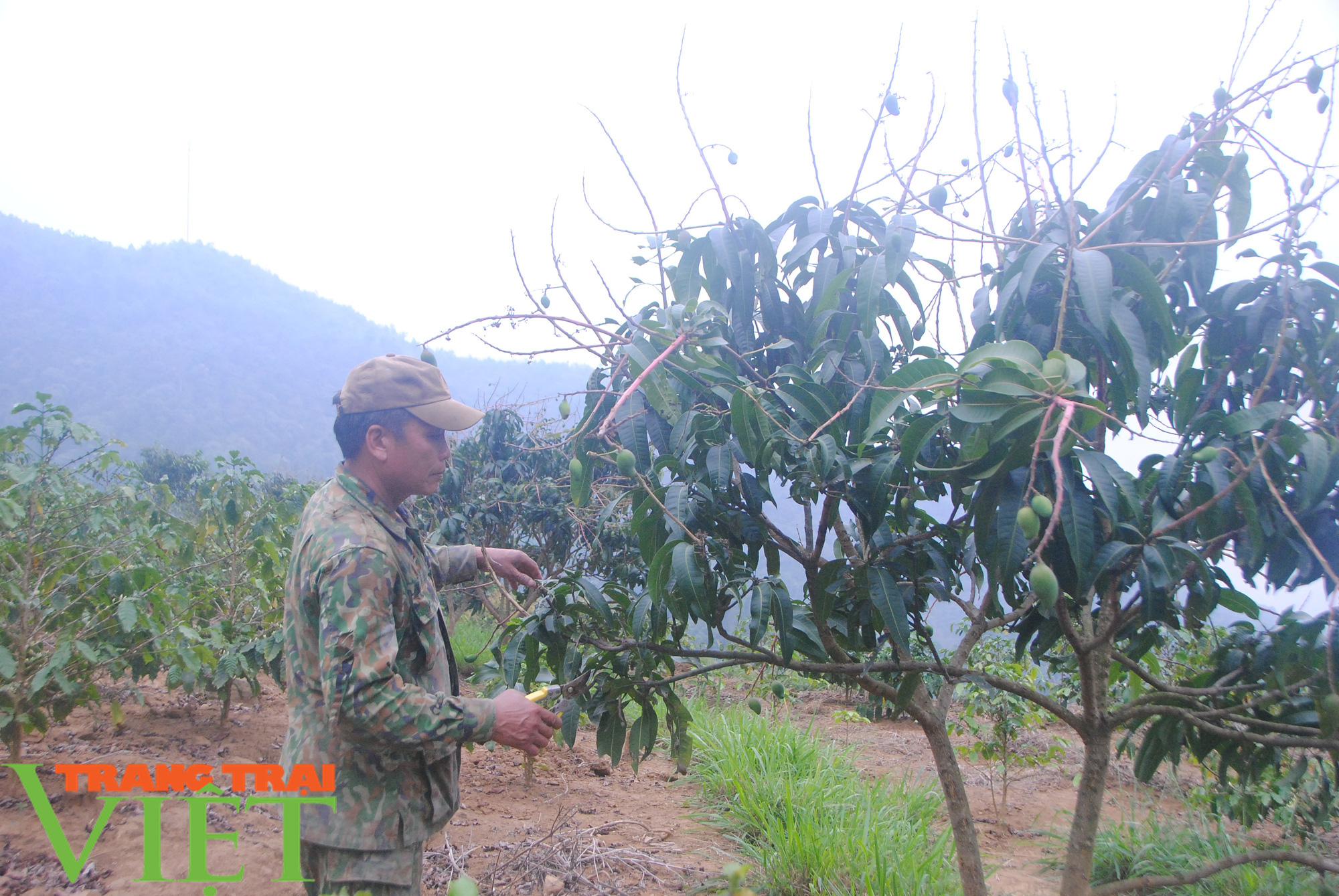 Mường Giôn làm gì để nâng cao thu nhập cho người dân? - Ảnh 2.