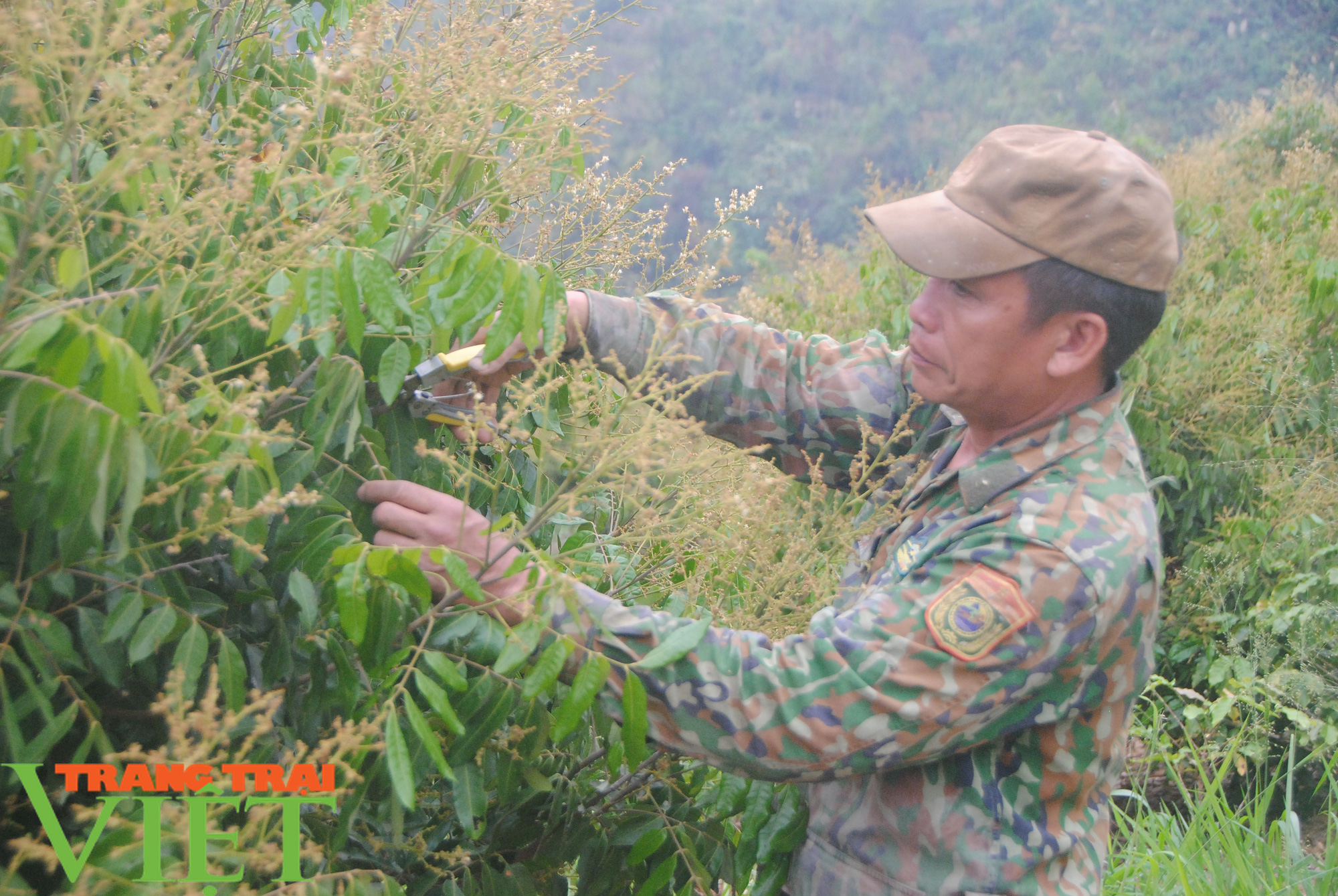 Mường Giôn làm gì để nâng cao thu nhập cho người dân? - Ảnh 4.