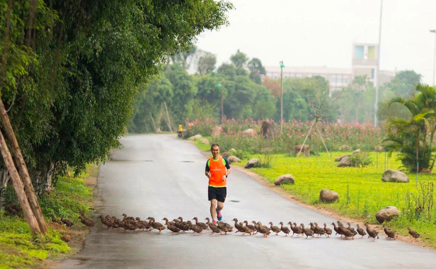 Ecopark Marathon 2021 - Ngắm cung đường chạy giữa thiên nhiên &quot;siêu chất&quot; trước giờ G - Ảnh 5.