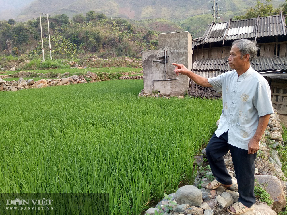 Làm ruộng trên đá – nhọc nhằn mưu sinh của hàng ngàn hộ dân tộc thiểu số ở vùng cao Nặm Păm - Ảnh 4.