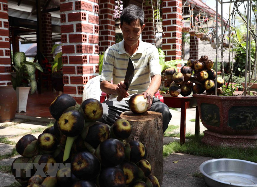 An Giang: Giống dừa nhưng không phải là dừa, cây thân thẳng cao đến 30m, uống vào mát ngọt lịm tỉnh cả người - Ảnh 8.