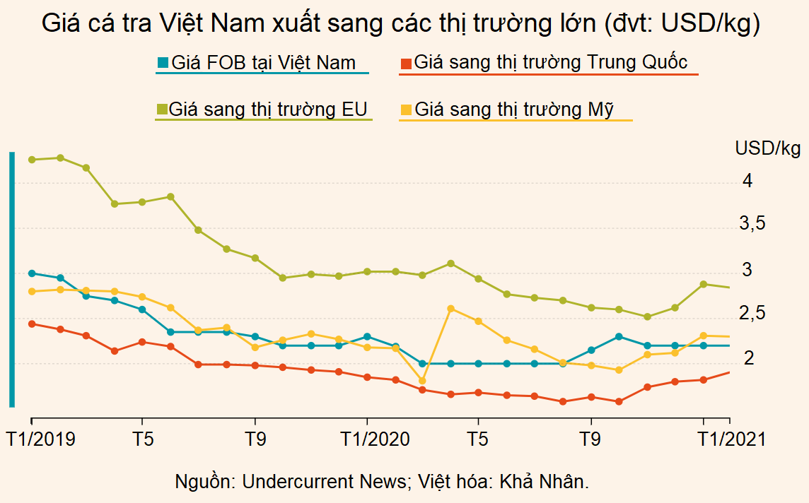Nông dân quay lưng, ngành cá tra Việt Nam có nguy cơ thiếu cung - Ảnh 1.