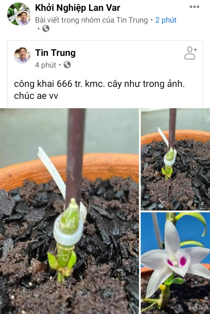 Đầu tư lan đột biến, &quot;liều&quot; chưa được &quot;ăn nhiều&quot; thì nhà lầu, xe hơi đã không cánh mà bay - Ảnh 1.