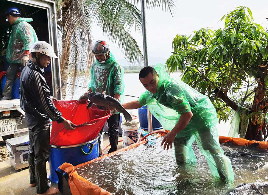 Văn Đức rời thành phố Hải Phòng &quot;đầu quân&quot; sang Quảng Ninh nuôi cá trắm đen khủng, doanh thu 15-20 tỷ mỗi năm - Ảnh 3.