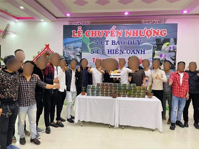 “Trái đắng” lan đột biến - Ảnh 2.