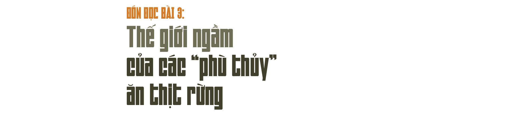 Thủ đoạn hô biến rừng cây cổ thụ (Bài 2): Vào thủ phủ “bắt sống lão mộc tinh” từ rừng về nhà - Ảnh 10.