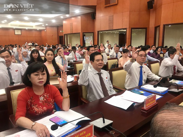 Kỳ họp 25 HĐND TP.HCM: Chốt hệ số điều chỉnh giá đất, đẩy nhanh dự án cải tạo kênh Tham Lương - Ảnh 3.