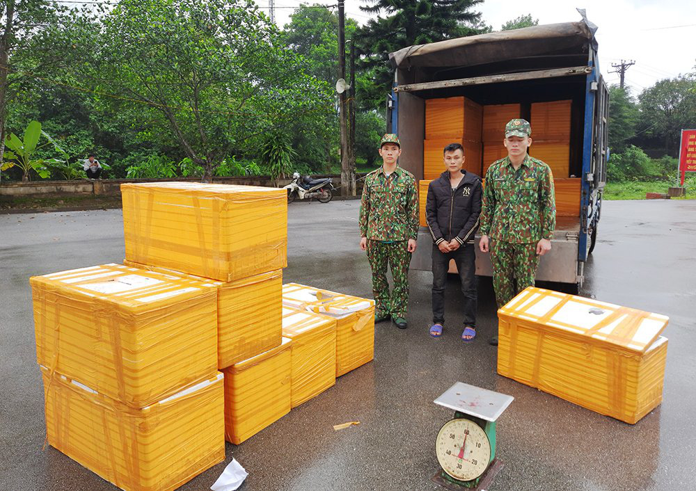 Quảng Ninh: Bắt vụ vận chuyển 500kg cá tầm Trung Quốc nhập lậu - Ảnh 1.