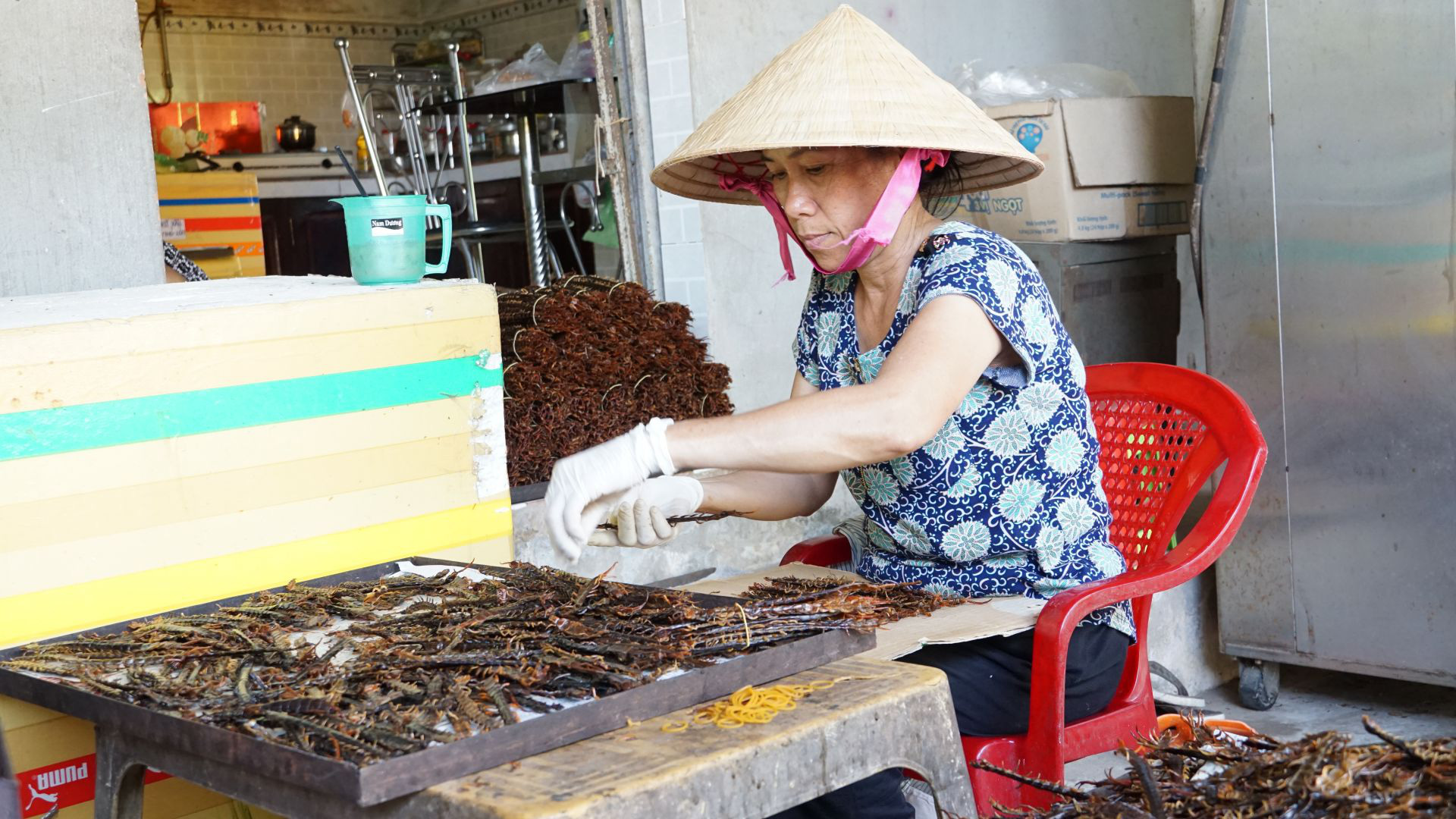 Tây Ninh: Nuôi rết độc, nghe tên nhiều người đã nổi da gà vậy mà nông dân ở đây bán 1kg giá 1,2 triệu - Ảnh 2.