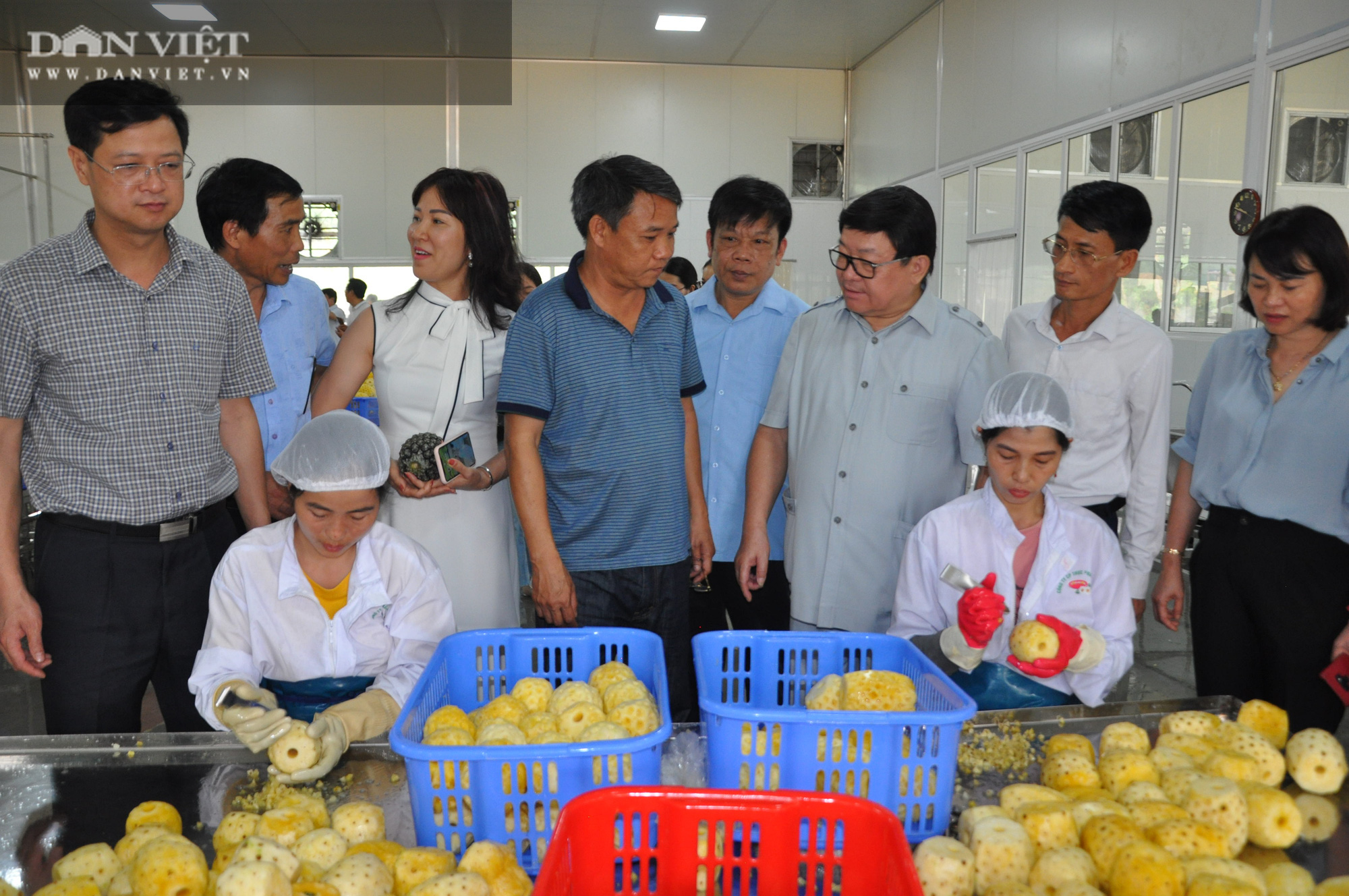 Chủ tịch Hội Nông dân Việt Nam thăm nhà máy chế biến rau quả xuất khẩu lớn ở huyện biên giới - Ảnh 3.