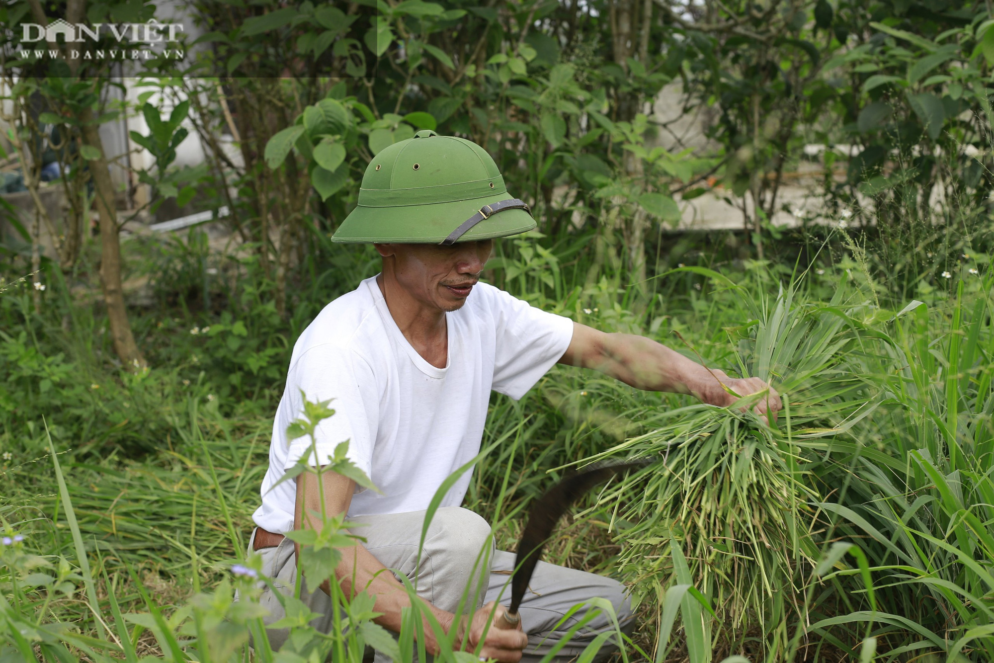 Xuân Bắc làm cú liều lớn đầu tư vào nuôi loài siêu dễ thương, ai ngờ bén duyên thu lãi khủng - Ảnh 3.