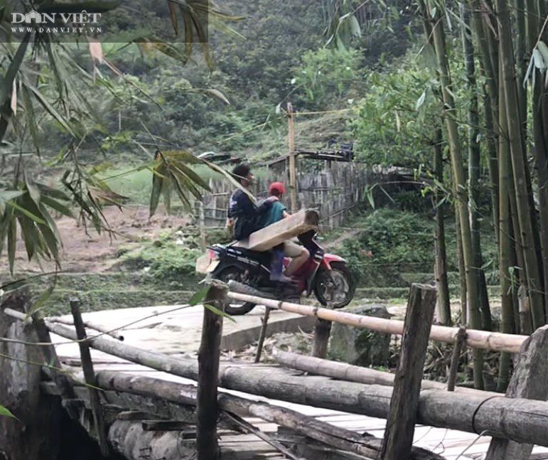 Phá Vườn quốc gia Hoàng Liên (Bài 3): Kiểm lâm “lượn qua”, lâm tặc vẫn chở gỗ ầm ầm - Ảnh 8.