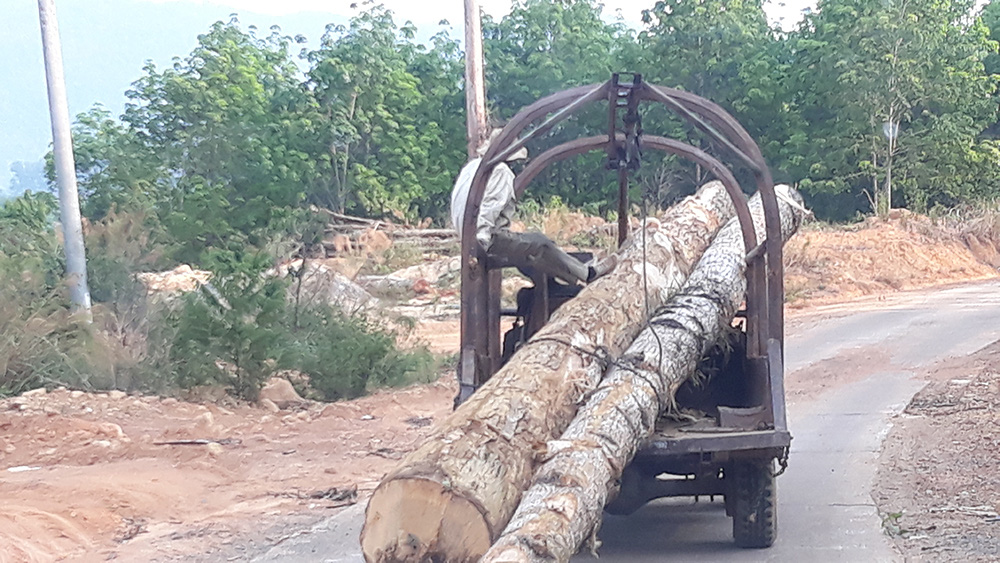 Kon Tum: Phát hiện bãi gỗ khủng tận thu lòng hồ - Ảnh 4.