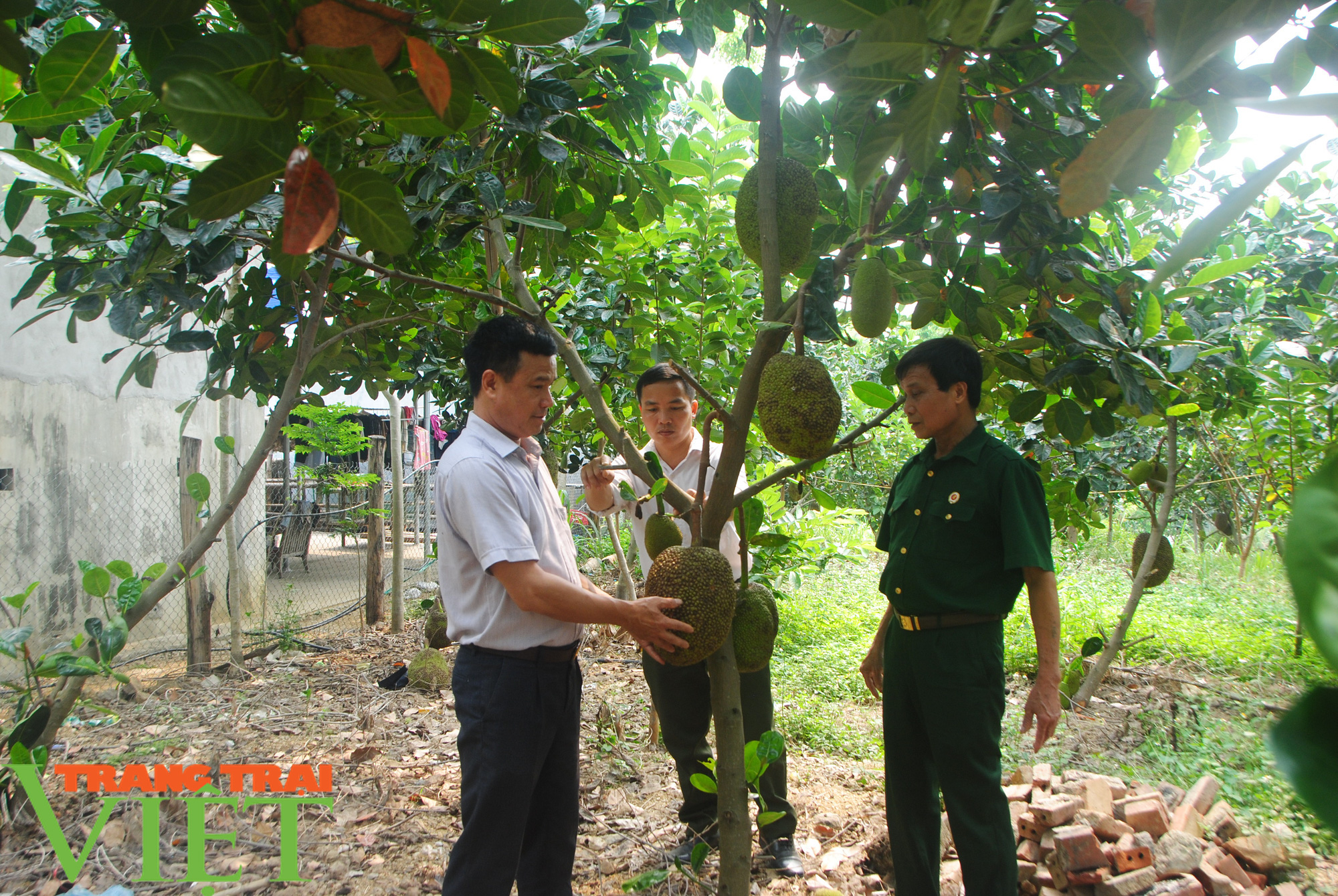 Cựu chiến binh có biệt tài dụ cá lên ăn thức ăn  - Ảnh 4.