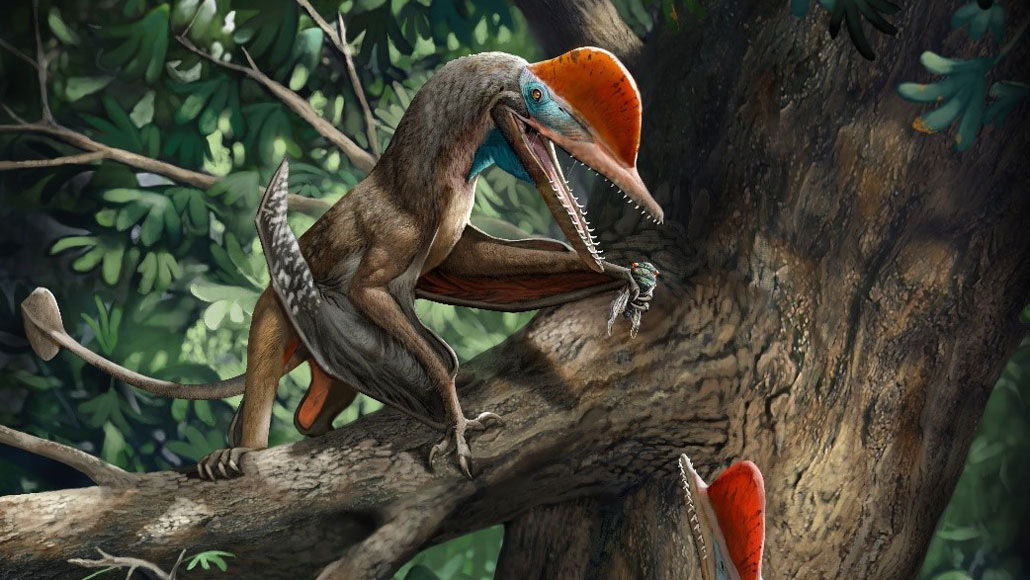 Liệu có thật sự tồn tại loài khủng long cổ đại có bàn tay giống con người? - Ảnh 1.