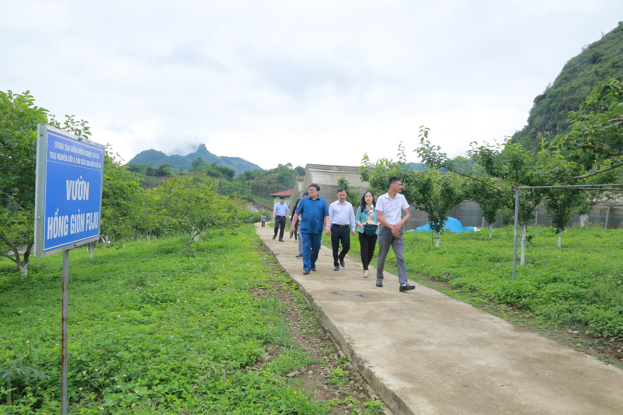 Chủ tịch Hội Nông dân Việt Nam thăm &quot;đại bản doanh&quot; con đặc sản thu 10 tỷ đồng mỗi năm ở Bắc Hà - Ảnh 5.