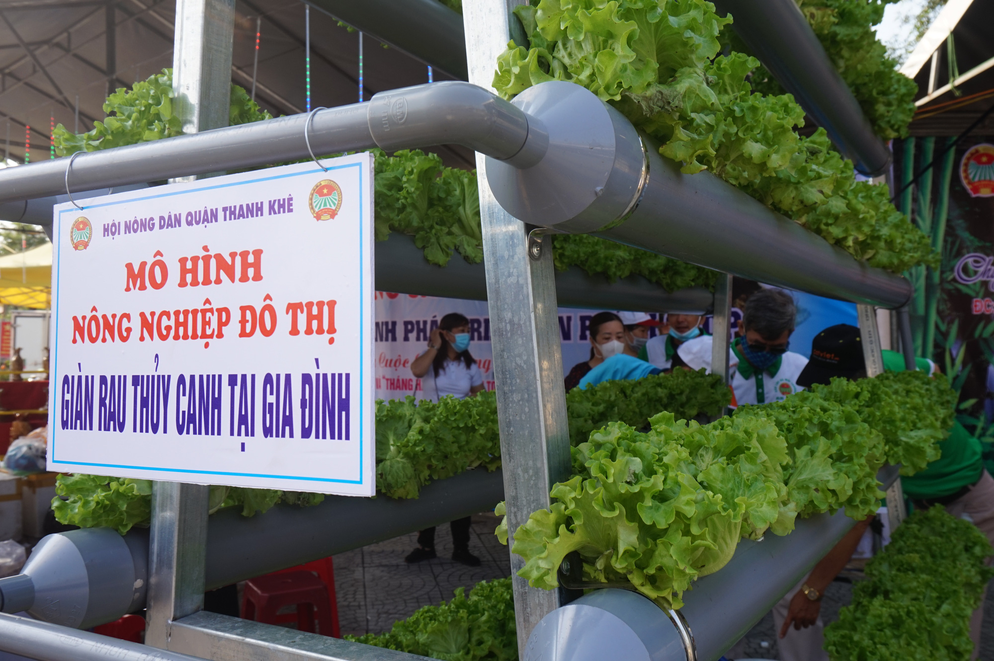 Đà Nẵng: Sản phẩm OCOP, rau sạch hút hàng tại Phiên sợ nông sản  - Ảnh 7.
