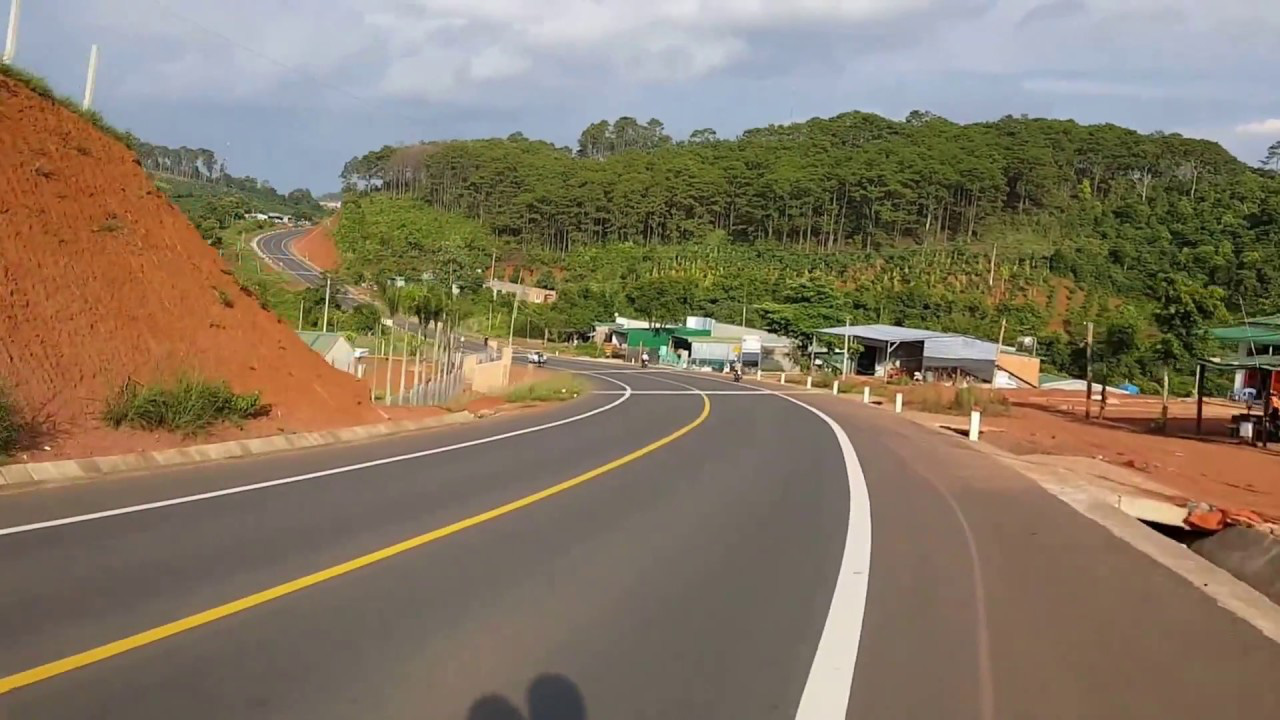 Video: Rừng thông đẹp nhất Đắk Nông &quot;chết đứng&quot; vì bị &quot;đầu độc&quot; - Ảnh 9.