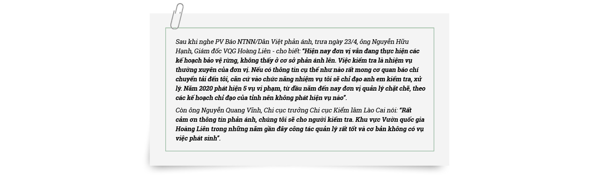 Phá rừng pơ mu cổ thụ, &quot;moi ruột&quot; Vườn Quốc gia trên nóc nhà Đông Dương! - Ảnh 14.