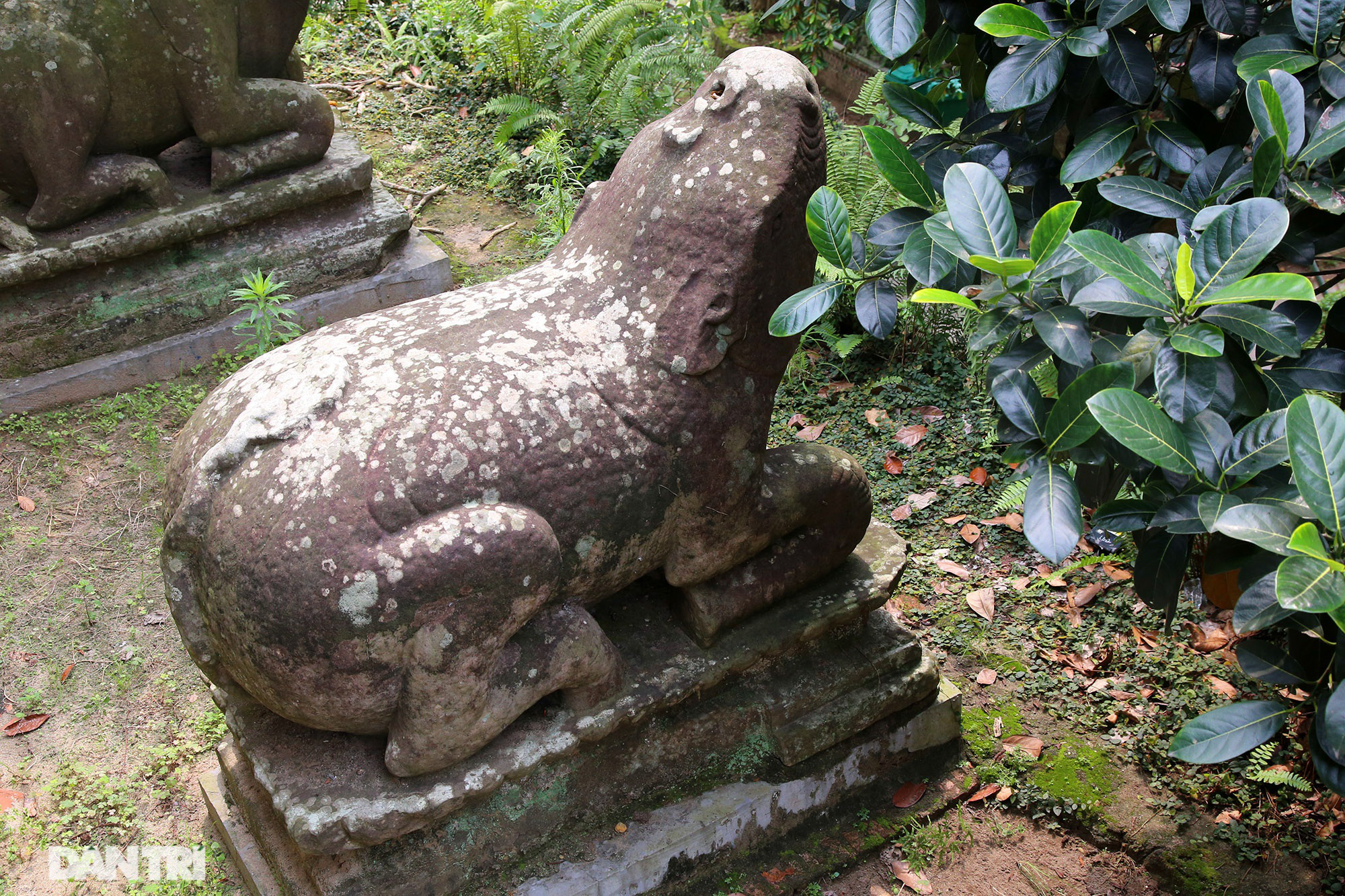 Bắc Ninh: 10 linh thú đá nghìn năm tuổi canh gác chùa Phật Tích - Ảnh 10.