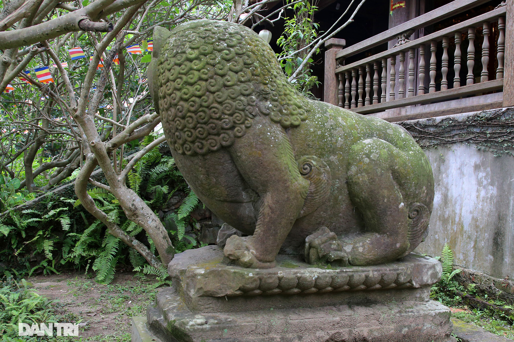 Bắc Ninh: 10 linh thú đá nghìn năm tuổi canh gác chùa Phật Tích - Ảnh 12.