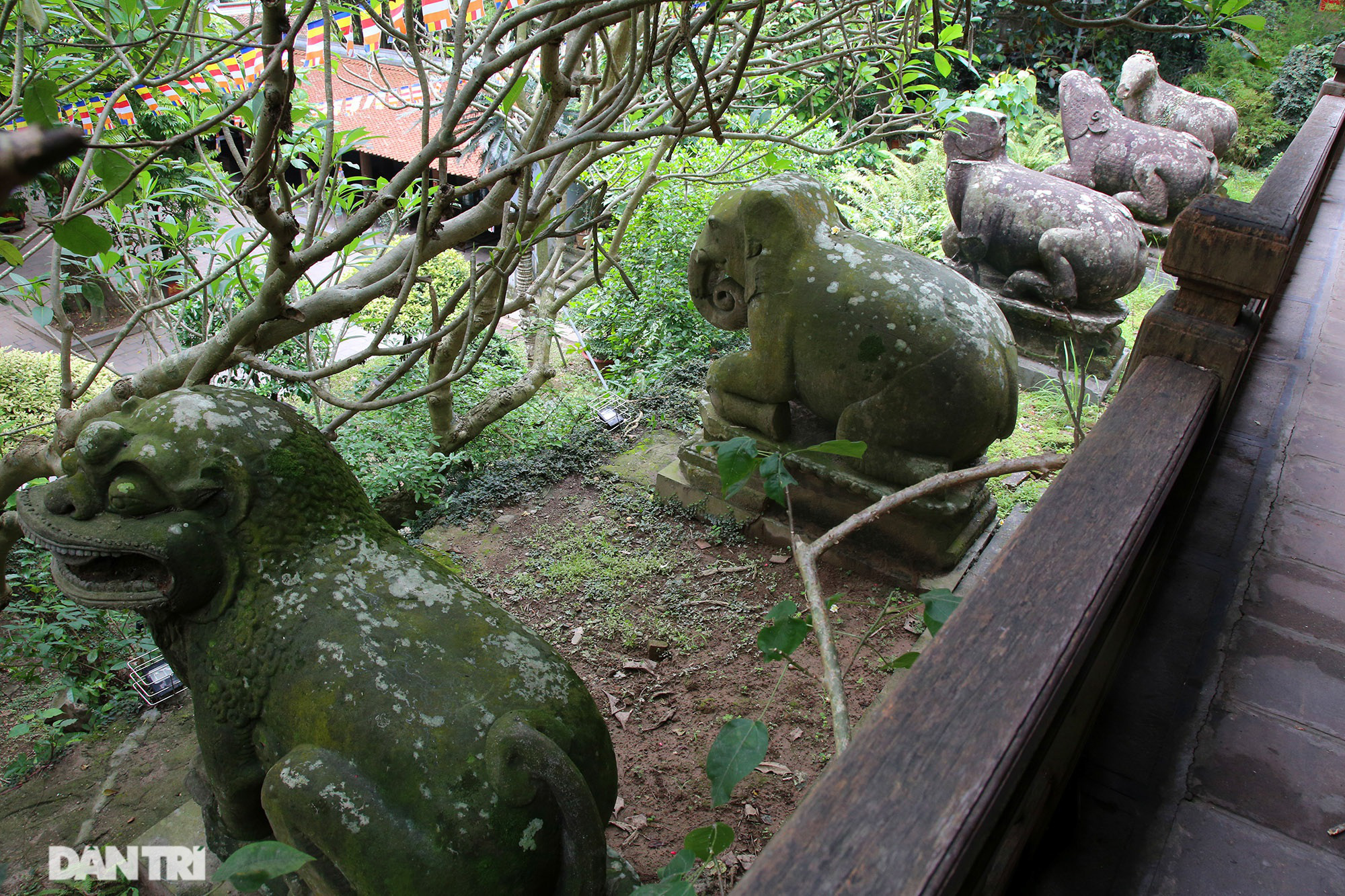 Bắc Ninh: 10 linh thú đá nghìn năm tuổi canh gác chùa Phật Tích - Ảnh 2.