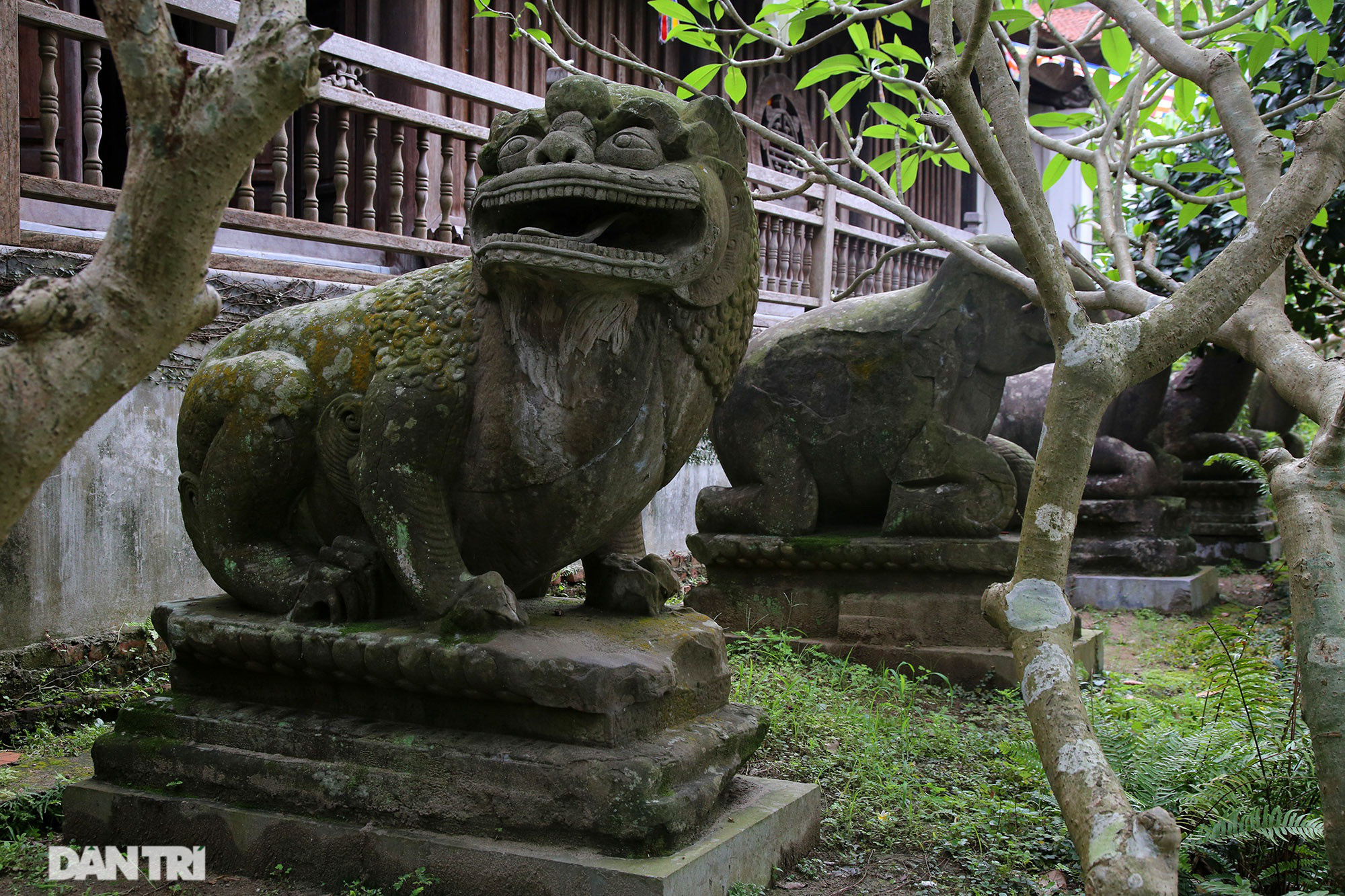 Bắc Ninh: 10 linh thú đá nghìn năm tuổi canh gác chùa Phật Tích - Ảnh 3.