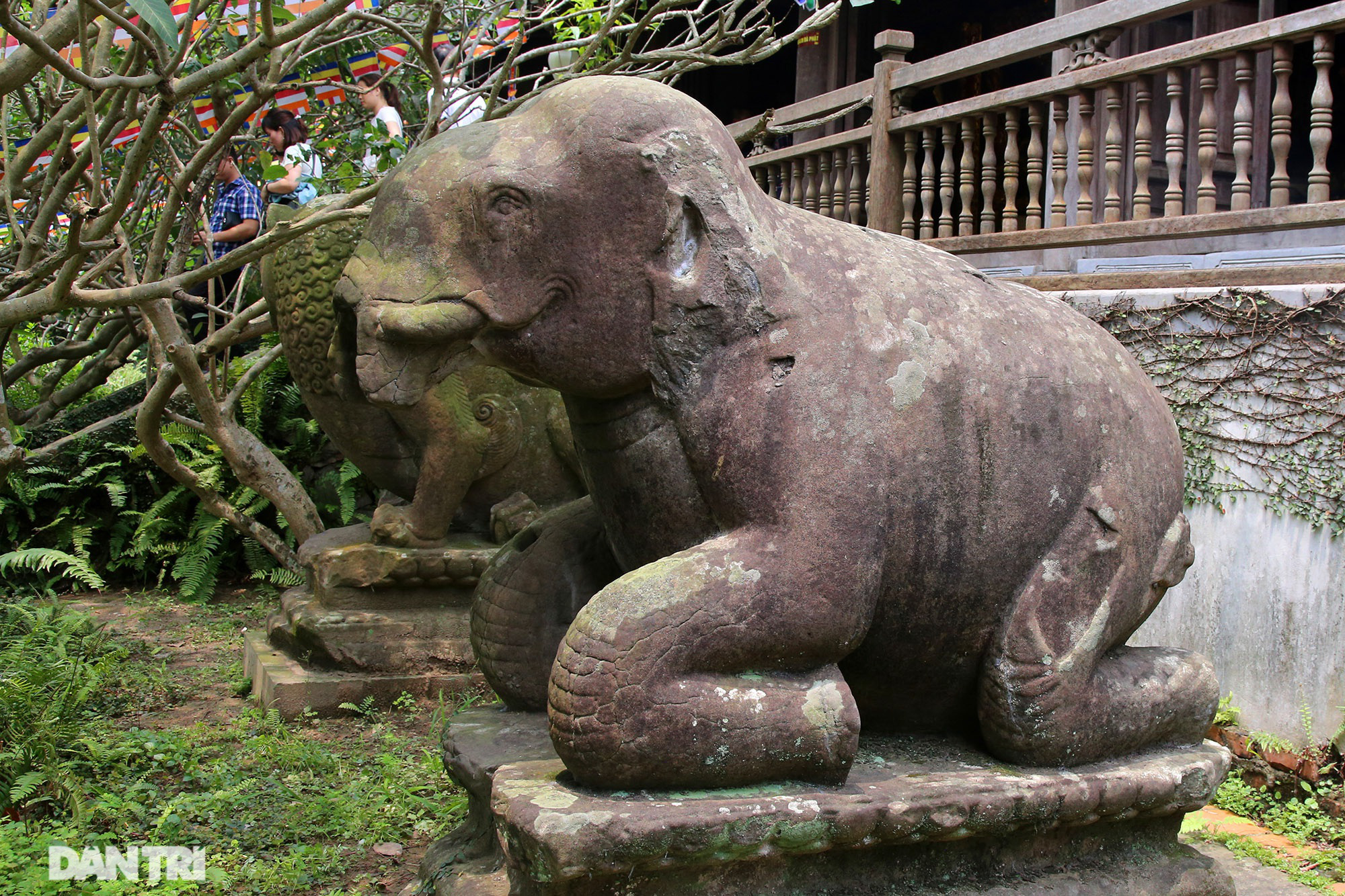 Bắc Ninh: 10 linh thú đá nghìn năm tuổi canh gác chùa Phật Tích - Ảnh 4.