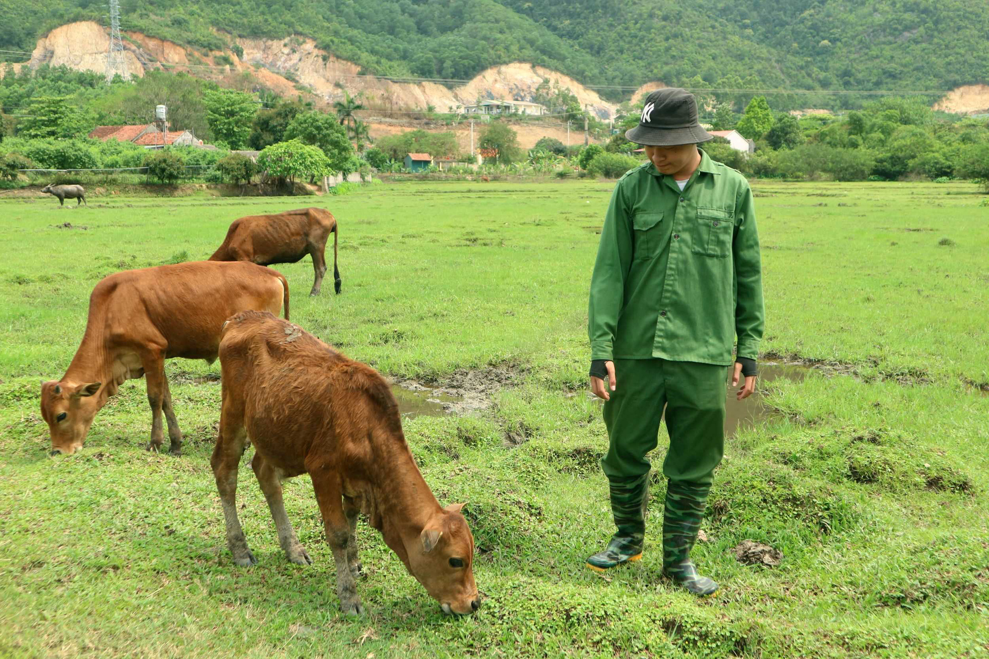 Nuôi 60 con bò, mỗi năm bán 15-20 con, ông nông dân tỉnh Quảng Ninh thu về được mấy trăm triệu đồng? - Ảnh 2.
