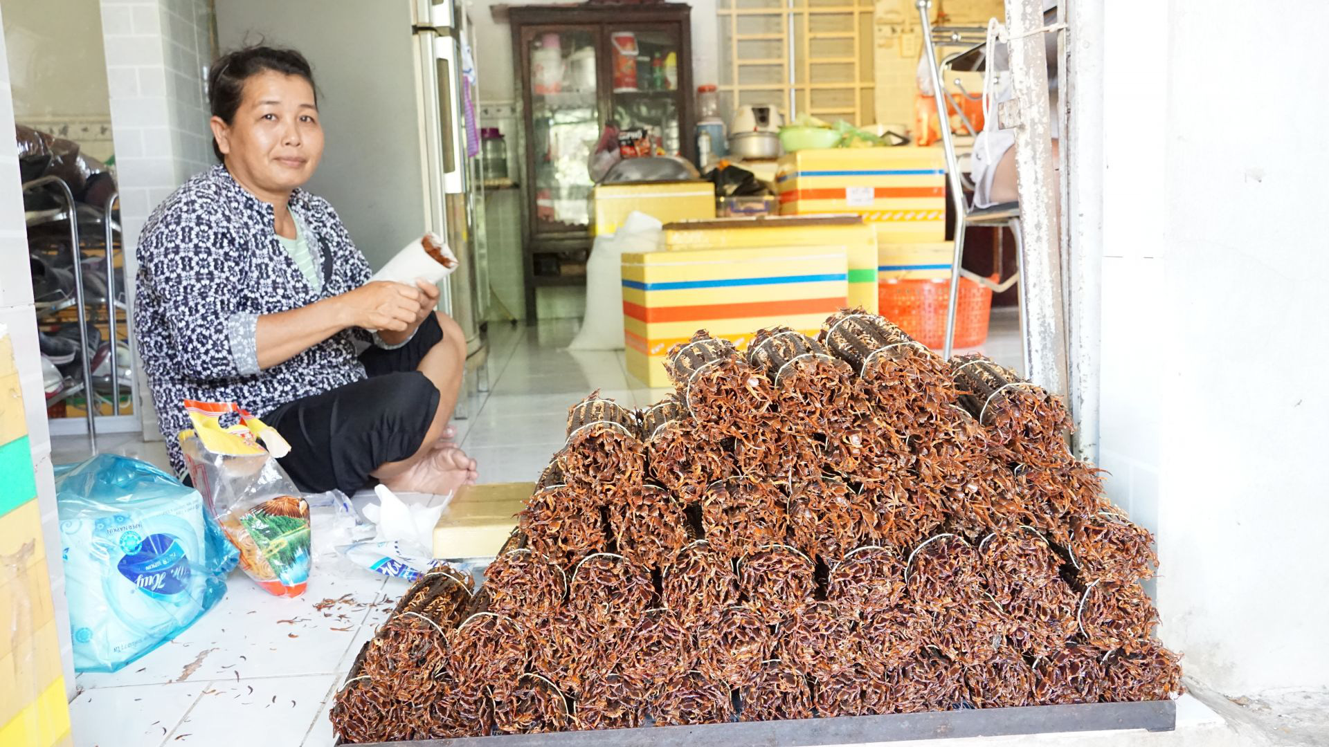 Tây Ninh: Nuôi những con rết to như ngón tay, nhìn phát ghê, thương lái Trung Quốc mua tiền triệu/kg - Ảnh 2.