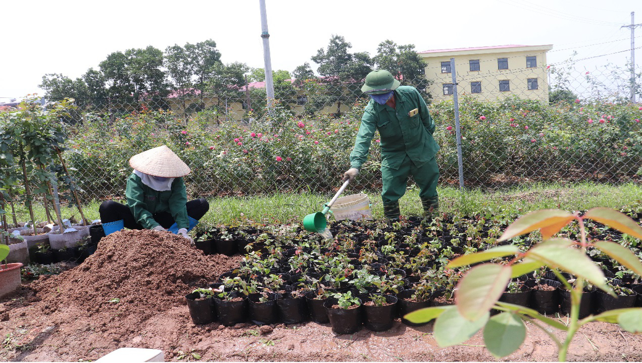 Chỉ làm giờ hành chính, thu nhập người dân trồng hoa mỗi năm hơn 200 triệu đồng - Ảnh 5.