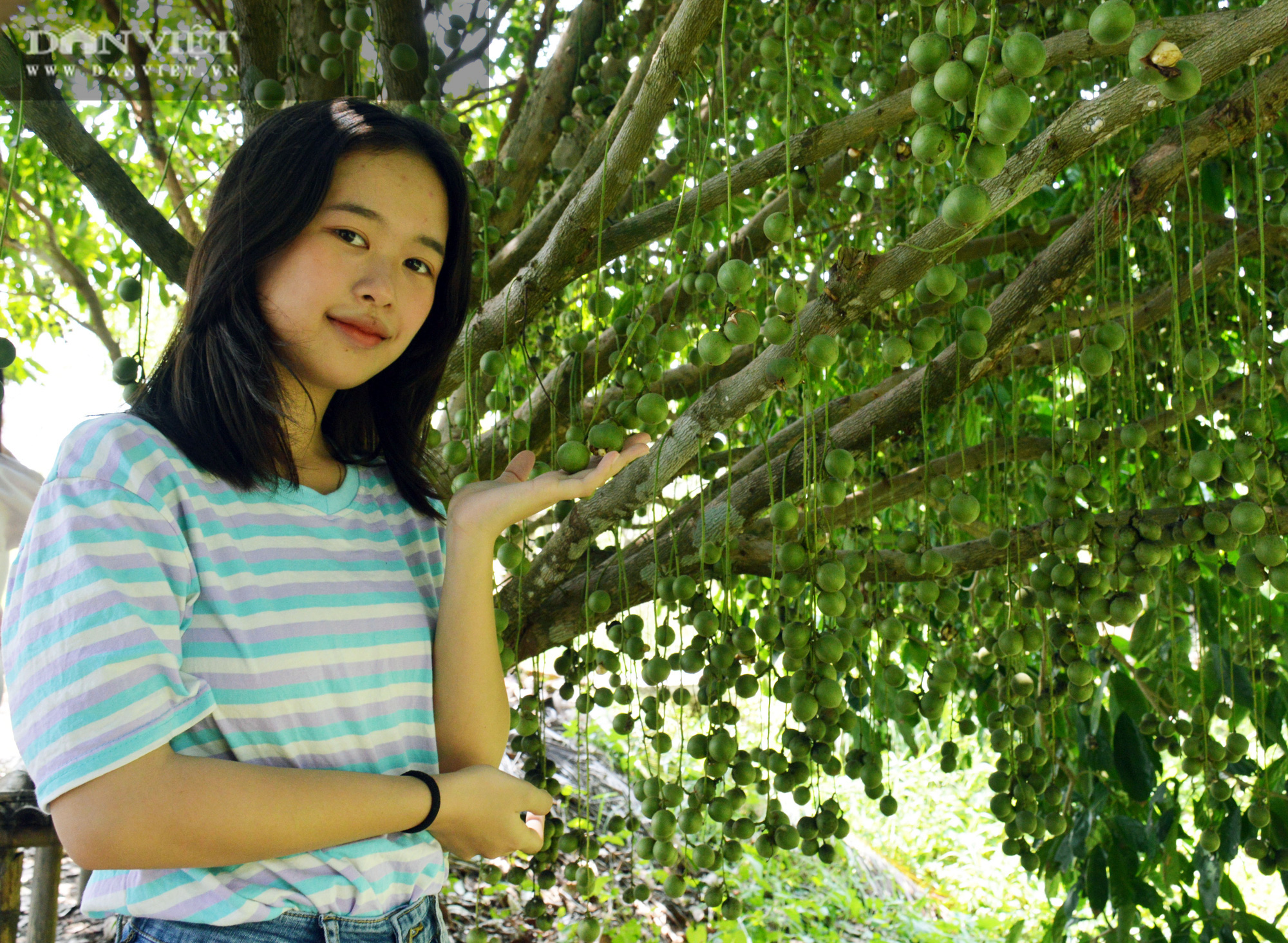 Nam thanh nữ thú thỏa thích chụp hình “sống ảo” tại vườn dâu xanh mát ở U Minh - Ảnh 7.