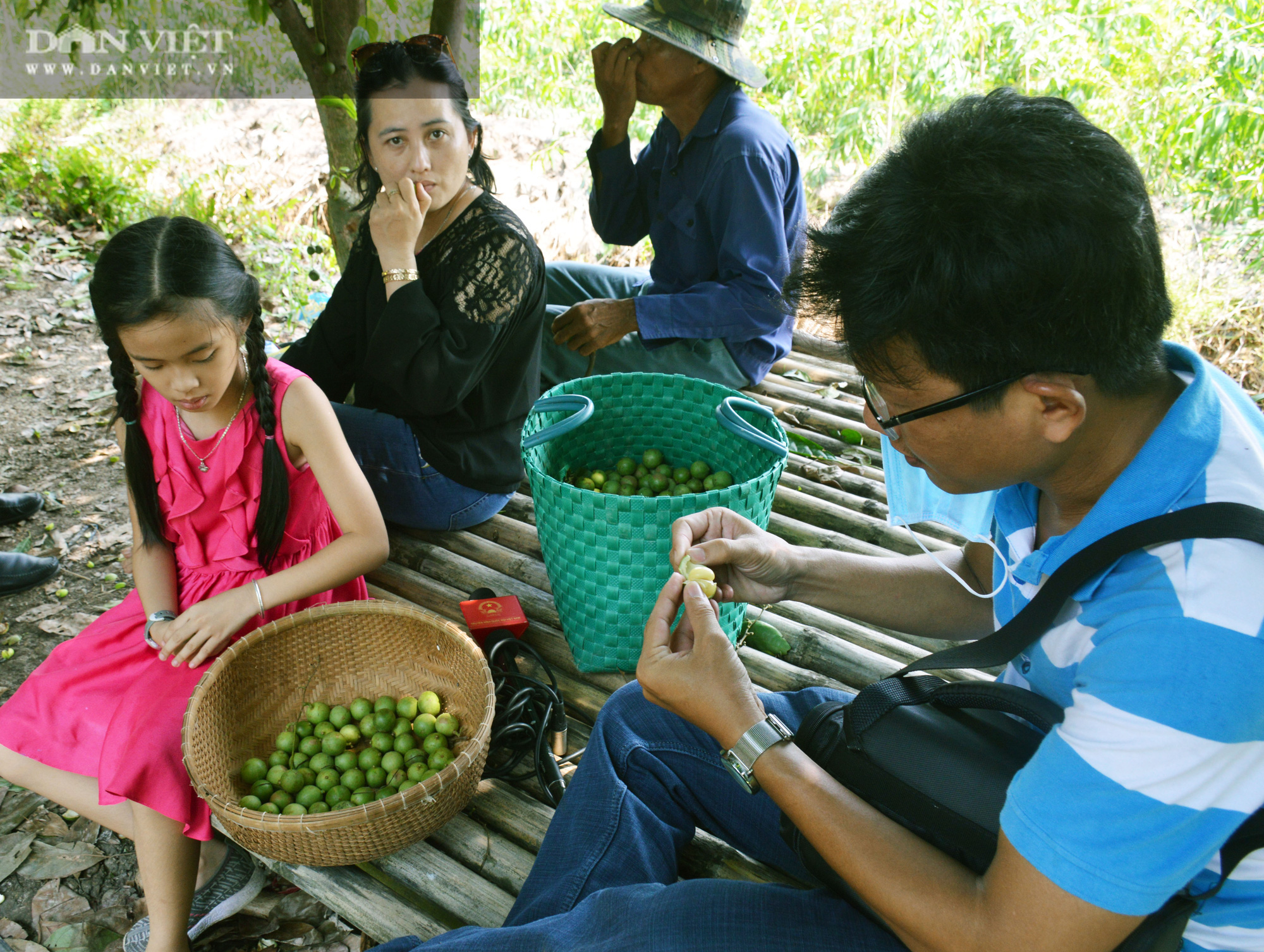 Nam thanh nữ thú thỏa thích chụp hình “sống ảo” tại vườn dâu xanh mát ở U Minh - Ảnh 8.