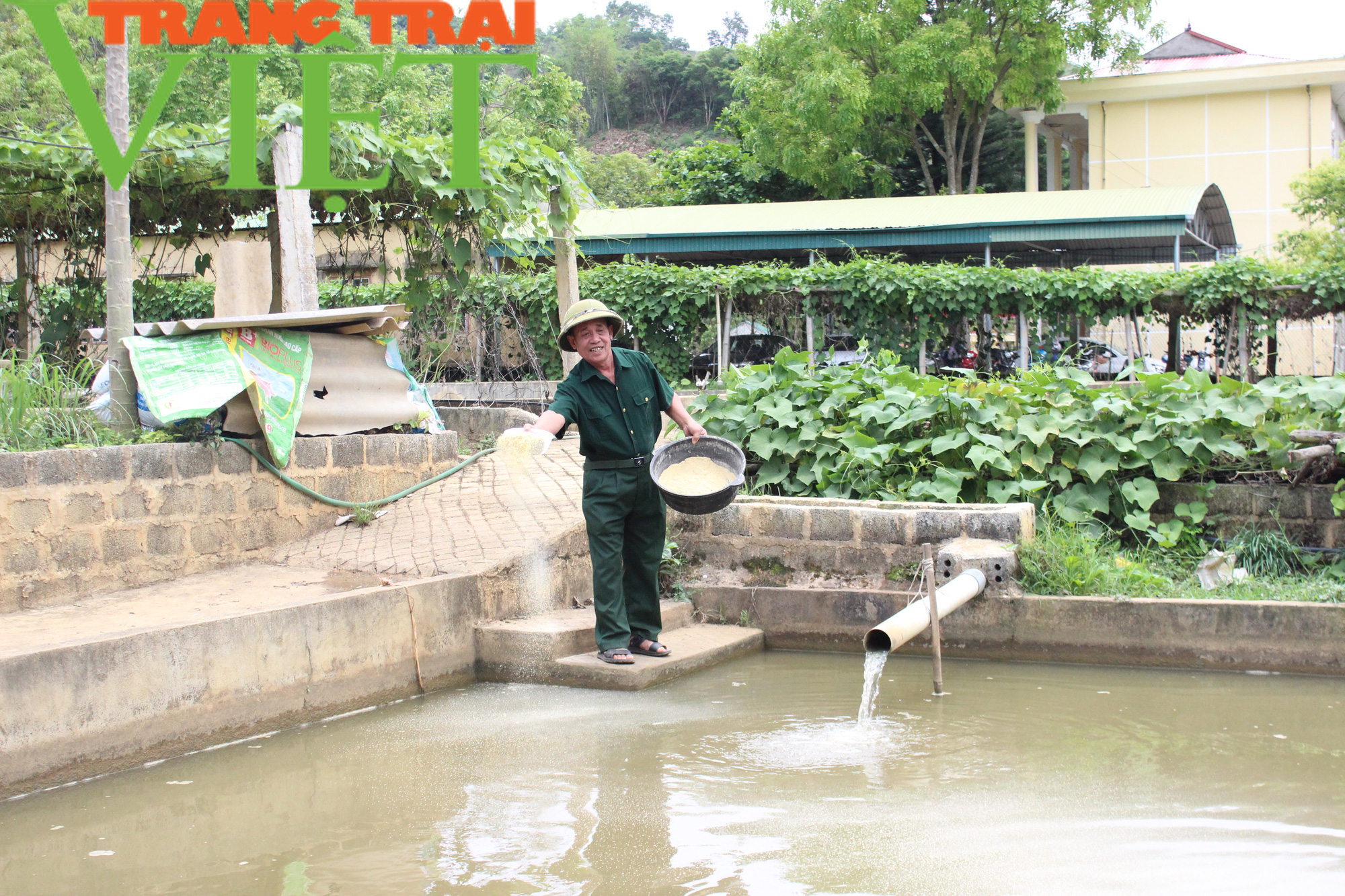 Cựu chiến binh làm giàu từ mô hình kinh tế tổng hợp - Ảnh 5.