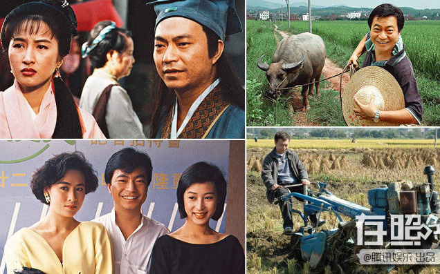 Tài tử TVB giàu có nhờ về quê trồng lúa - Ảnh 2.