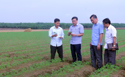 Bắc Ninh: Phê duyệt cụm công nghiệp Cao Đức- Vạn Ninh 54ha với tổng vốn đầu tư 565 tỷ đồng - Ảnh 2.