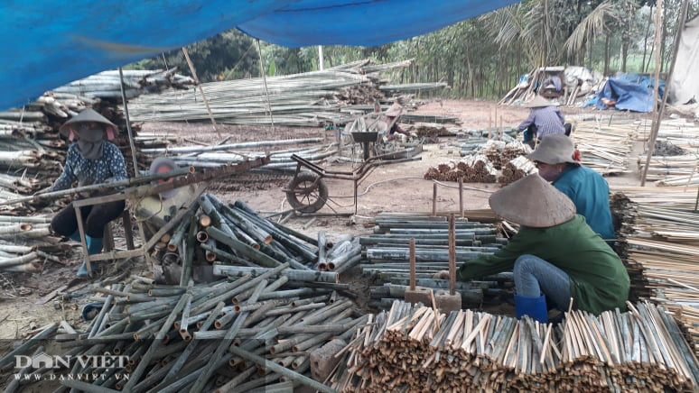 Thái Nguyên: Từ hộ khó khăn cặp vợ chồng người Dao giúp nhiều bà con trong vùng thoát nghèo  - Ảnh 3.