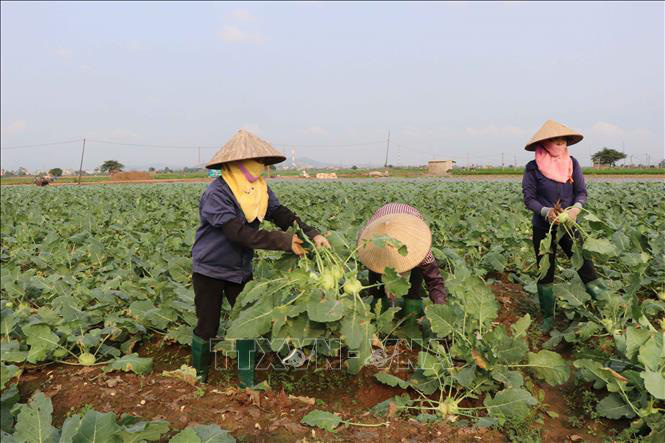 Bắc Ninh: Phê duyệt cụm công nghiệp Cao Đức- Vạn Ninh 54ha với tổng vốn đầu tư 565 tỷ đồng - Ảnh 1.