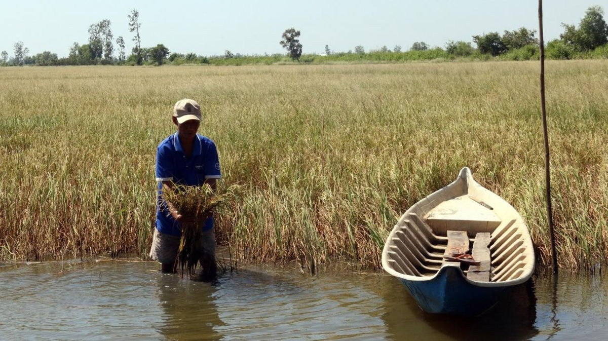 Bộ Công an chỉ đạo ứng phó xâm nhập mặn, thiếu nước tại ĐBSCL - Ảnh 1.