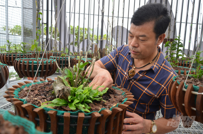 Hòa Bình: &quot;Lan đột biến 10 người chơi được cả 10, trừ khi mua phải hàng giả&quot; - Ảnh 6.