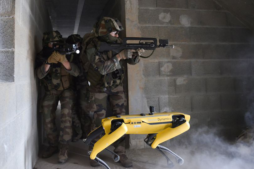 Quân đội Pháp đang thử nghiệm chó Robot trong chiến đấu - Ảnh 1.