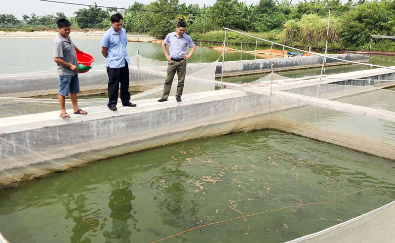 Bắc Ninh: Ứng dụng các giải pháp thông minh trong nuôi trồng thủy sản - Ảnh 1.