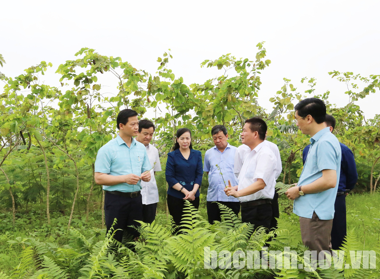 Sẽ tổ chức hội nghị xúc tiến đầu tư tỉnh Bắc Ninh vào tháng 5/2021 - Ảnh 3.