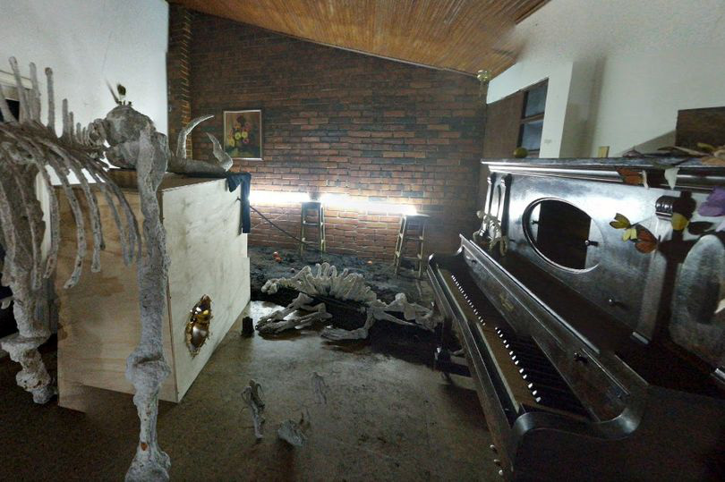 Bộ xương khủng long với hình dạng đáng sợ được phát hiện trong căn phòng bí ẩn bởi Google Maps - Ảnh 1.