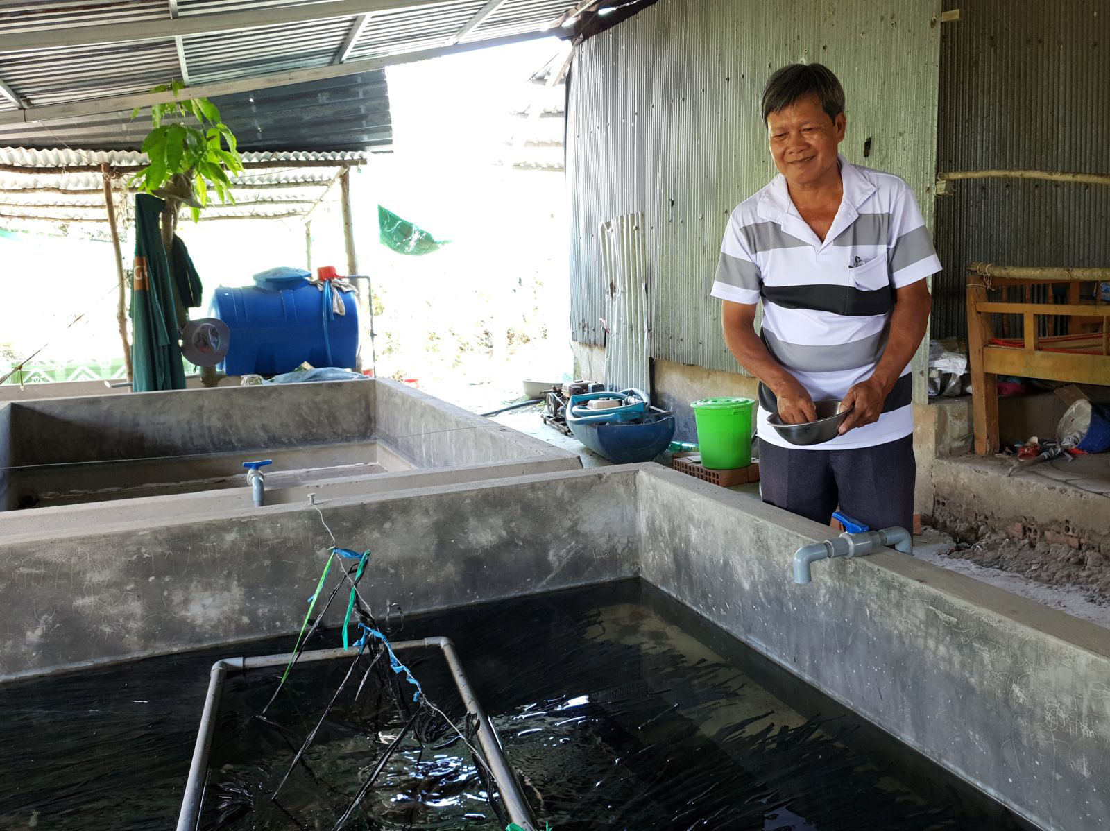 Một ông nông dân Cần Thơ nuôi lươn giống không bùn trong bể xi măng để bán giống, nhiều người tìm đến xem - Ảnh 1.