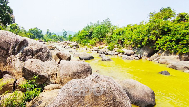 Bình Định: Đặc sản cá niên bắt ở suối, rau dại hái trên rừng và ngàn cây sim nở kín hoa đều có ở đâu? - Ảnh 1.