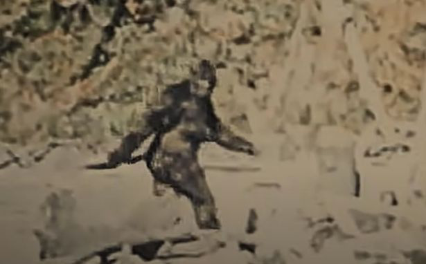 Huyền thoại Bigfoot xuất hiện trong vụ thảm sát tại trang trại trồng cần sa - Ảnh 2.